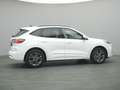 Ford Kuga ST-Line X 150PS/Techno.&Fahr-Assistenz-P. Weiß - thumbnail 45