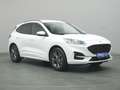 Ford Kuga ST-Line X 150PS/Techno.&Fahr-Assistenz-P. Weiß - thumbnail 5