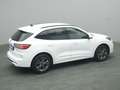 Ford Kuga ST-Line X 150PS/Techno.&Fahr-Assistenz-P. Weiß - thumbnail 34