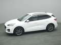 Ford Kuga ST-Line X 150PS/Techno.&Fahr-Assistenz-P. Weiß - thumbnail 40