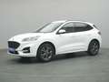 Ford Kuga ST-Line X 150PS/Techno.&Fahr-Assistenz-P. Weiß - thumbnail 15