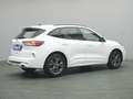 Ford Kuga ST-Line X 150PS/Techno.&Fahr-Assistenz-P. Weiß - thumbnail 21