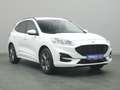 Ford Kuga ST-Line X 150PS/Techno.&Fahr-Assistenz-P. Weiß - thumbnail 24