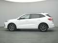 Ford Kuga ST-Line X 150PS/Techno.&Fahr-Assistenz-P. Weiß - thumbnail 3