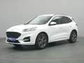 Ford Kuga ST-Line X 150PS/Techno.&Fahr-Assistenz-P. Weiß - thumbnail 2