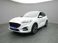 Ford Kuga ST-Line X 150PS/Techno.&Fahr-Assistenz-P. Weiß - thumbnail 23