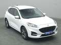 Ford Kuga ST-Line X 150PS/Techno.&Fahr-Assistenz-P. Weiß - thumbnail 25