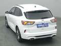Ford Kuga ST-Line X 150PS/Techno.&Fahr-Assistenz-P. Weiß - thumbnail 43