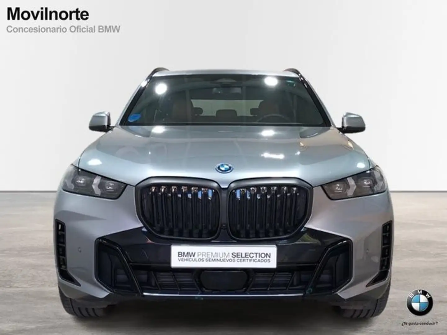 BMW X5 xDrive 50e xLine Gris - 2