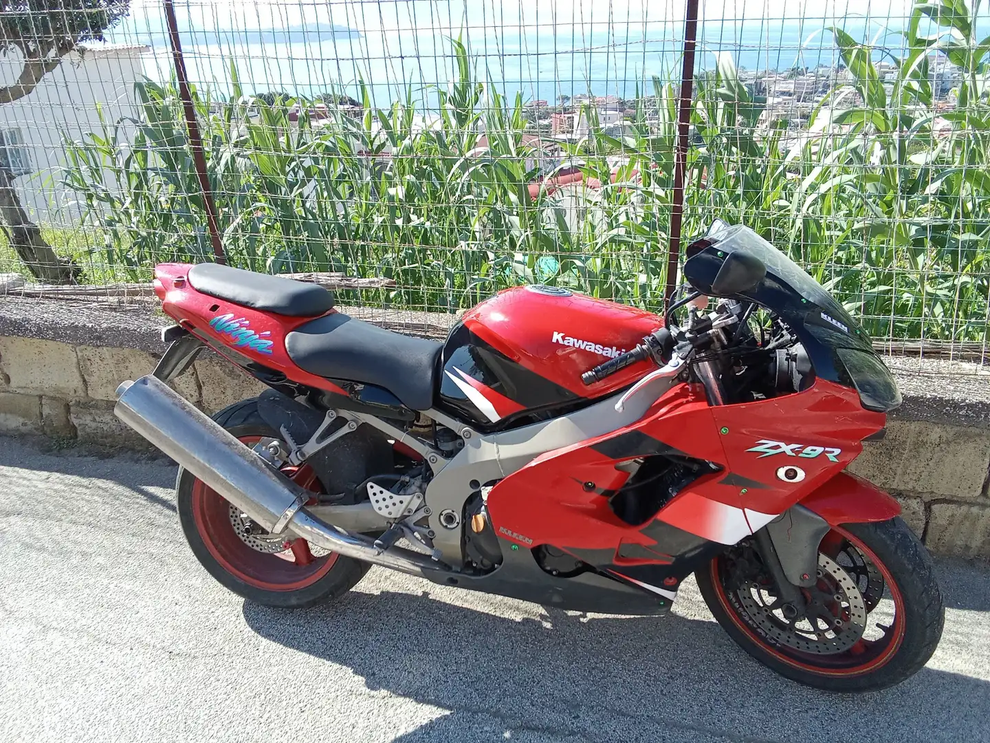 Kawasaki Ninja ZX-9R r Rojo - 1