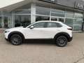 Mazda CX-30 e-Skyactive G140 Prime-Line Weiß - thumbnail 11