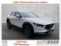 Mazda CX-30 e-Skyactive G140 Prime-Line Weiß - thumbnail 1