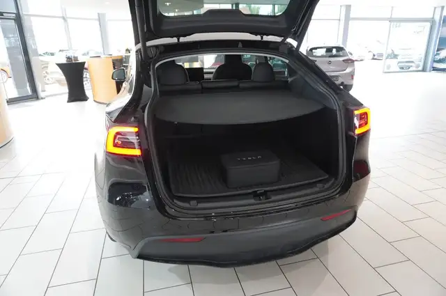 Tesla Model Y view 14