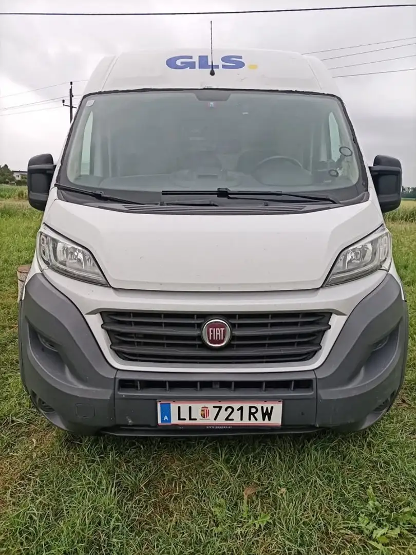 Fiat Ducato Weiß - 1