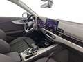 Audi A4 35 2.0 tdi mhev business advanced 163cv s-tronic Grey - thumbnail 7