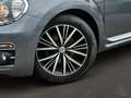 Volkswagen Beetle Cabriolet SOUND TSI NAVI+APP+SITZHZG+GRA+AC-AUTOM+ Gris - thumbnail 7
