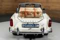 Triumph Sonstige TR4A IRS Cabriolet | 1966 Weiß - thumbnail 13