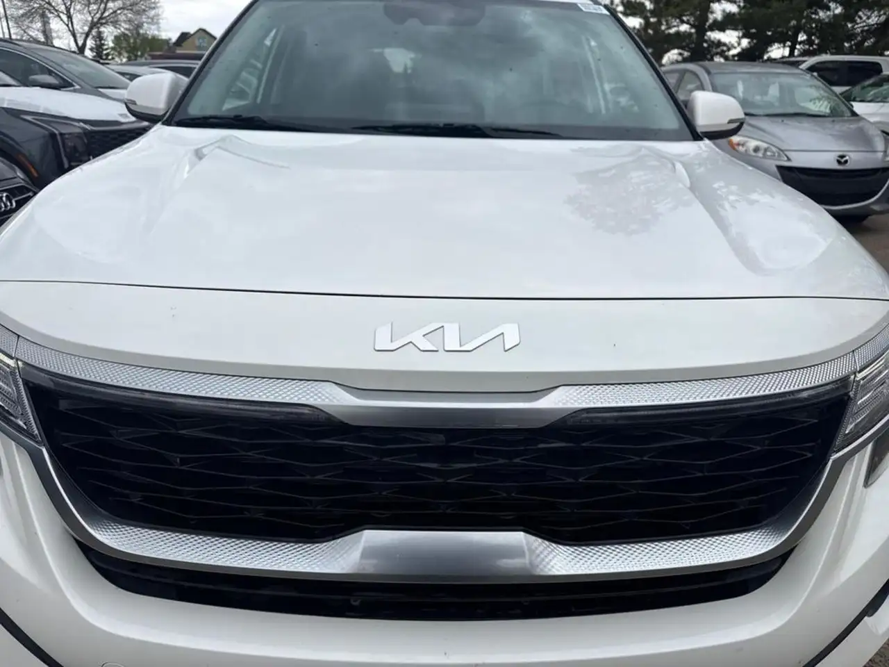 Kia Seltos photo Kia Seltos