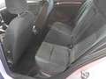 Volkswagen Golf VII 1.0 TSI IQ.DRIVE *ACC *NAVI *SHZ *LM *CLIMA * Argento - thumbnail 9