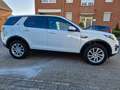 Land Rover Discovery Sport 4WD/3Jhr Garantie/TÜV+Inspektion Weiß - thumbnail 4