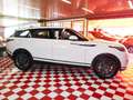 Land Rover Range Rover Velar 2.0 si4 SE 4wd 250cv auto NO SUPERBOLLO+C.21" Weiß - thumbnail 6