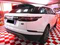 Land Rover Range Rover Velar 2.0 si4 SE 4wd 250cv auto NO SUPERBOLLO+C.21" Weiß - thumbnail 4