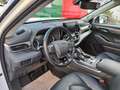 Toyota Highlander Hybrid Executive 7-Sitzer Leder Navi Pano ESSD!! Alb - thumbnail 7