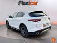 Alfa Romeo Stelvio 2.2 Diésel 154kW (210CV) Executive Q4 Blanc - thumbnail 4