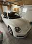 Volkswagen Beetle Club BMT Weiß - thumbnail 6