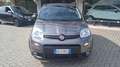 Fiat Panda Panda III 1.0 firefly hybrid City Life s&S Grigio - thumbnail 2
