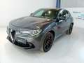 Alfa Romeo Stelvio 2.9 Bi-Turbo V6 510 CV AT8 Quadrifoglio Grigio - thumbnail 1