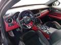 Alfa Romeo Stelvio 2.9 Bi-Turbo V6 510 CV AT8 Quadrifoglio Grigio - thumbnail 10
