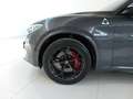 Alfa Romeo Stelvio 2.9 Bi-Turbo V6 510 CV AT8 Quadrifoglio Grigio - thumbnail 7