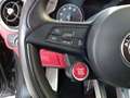 Alfa Romeo Stelvio 2.9 Bi-Turbo V6 510 CV AT8 Quadrifoglio Grigio - thumbnail 12