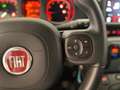 Fiat Panda 1.0 firefly hybrid City Cross *PREZZO REALE* Verde - thumbnail 18