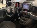 Fiat Panda 1.0 firefly hybrid City Cross *PREZZO REALE* Verde - thumbnail 12