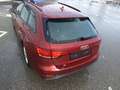 Audi A4 A4 Avant 35 TDI sport S-tronic sport 3 Zone Klimaa Rot - thumbnail 17