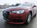 Audi A4 A4 Avant 35 TDI sport S-tronic sport 3 Zone Klimaa Rot - thumbnail 1