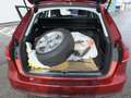 Audi A4 A4 Avant 35 TDI sport S-tronic sport 3 Zone Klimaa Rot - thumbnail 14