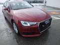 Audi A4 A4 Avant 35 TDI sport S-tronic sport 3 Zone Klimaa Rot - thumbnail 5
