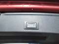 Audi A4 A4 Avant 35 TDI sport S-tronic sport 3 Zone Klimaa Rot - thumbnail 16