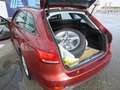 Audi A4 A4 Avant 35 TDI sport S-tronic sport 3 Zone Klimaa Rot - thumbnail 15