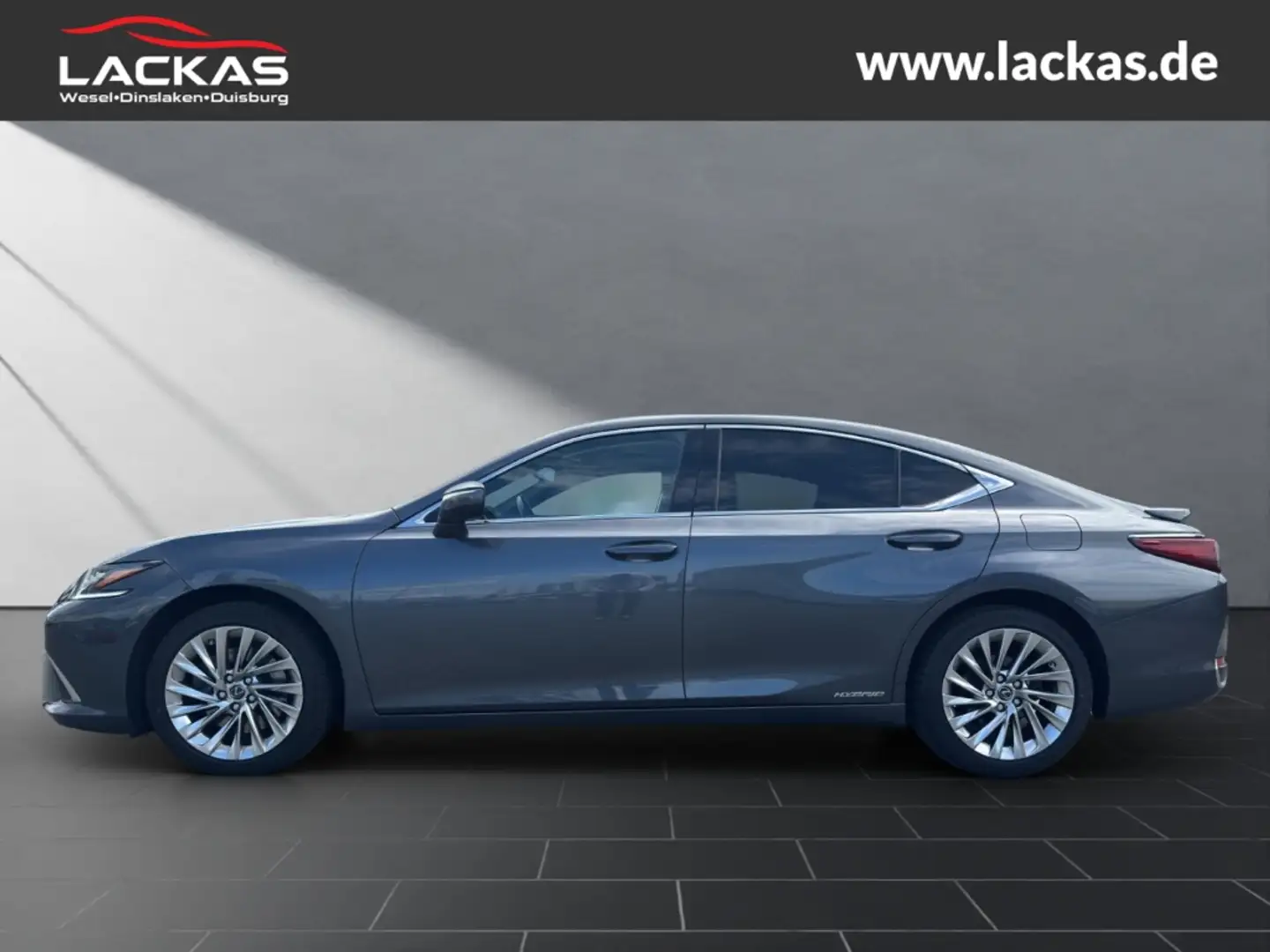 Lexus ES 300 h*LUXURY*HUD*LEDER*MARK.LEV*15J.GARANTIE* Gris - 2