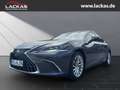 Lexus ES 300 h*LUXURY*HUD*LEDER*MARK.LEV*15J.GARANTIE* Gris - thumbnail 1