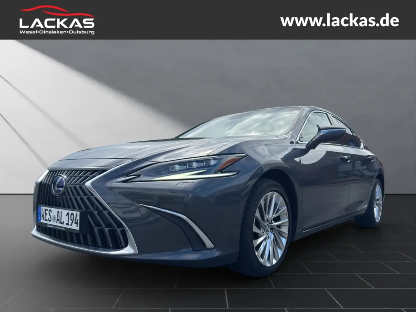 Lexus ES 300 h*LUXURY*HUD*LEDER*MARK.LEV*15J.GARANTIE* Gris - 1
