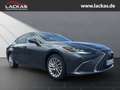 Lexus ES 300 h*LUXURY*HUD*LEDER*MARK.LEV*15J.GARANTIE* Gris - thumbnail 7