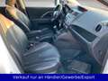 Mazda 5 Sports-Line Weiß - thumbnail 14