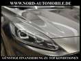 Ford Kuga ST-Line X *LED*AHK*ACC*Kamera*4xSHZ* ST-Line X Gris - thumbnail 13