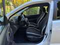 Hyundai i10 1,0 Edition 30 Plus / 8 fach bereift / Servicegep Weiß - thumbnail 13