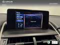 Lexus NX 300 300h Premium 2WD Zilver - thumbnail 19